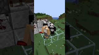 完璧なオチ【Minecraft】#shorts