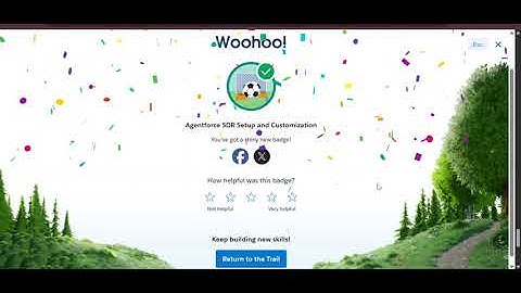 Agentforce SDR Setup and Customization : Salesforce Trailhead