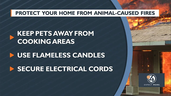Protect your home from animal-caused fires