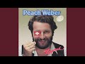 Miniature de la vidéo de la chanson Literarischer Teil