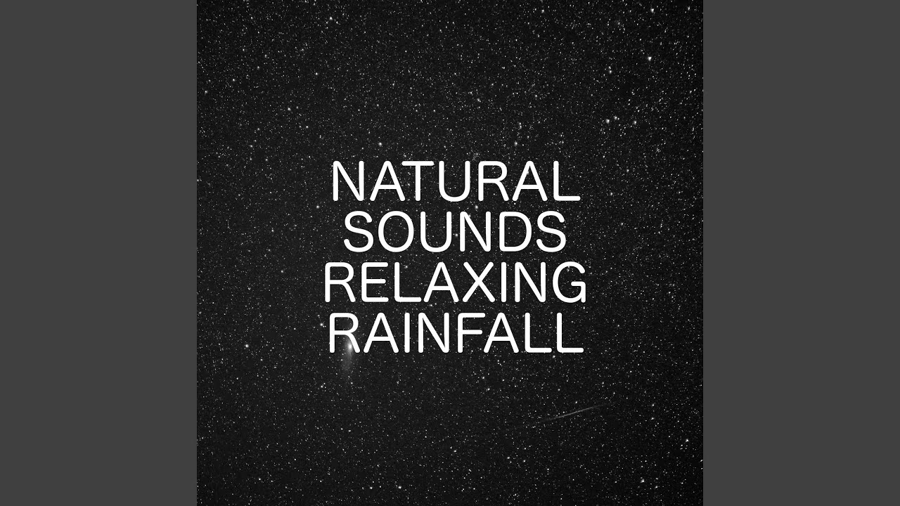 rain ambience rain ambience