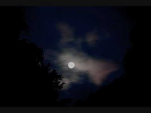 Jumping At Shadows - Peter Green (Alone With The Blues)