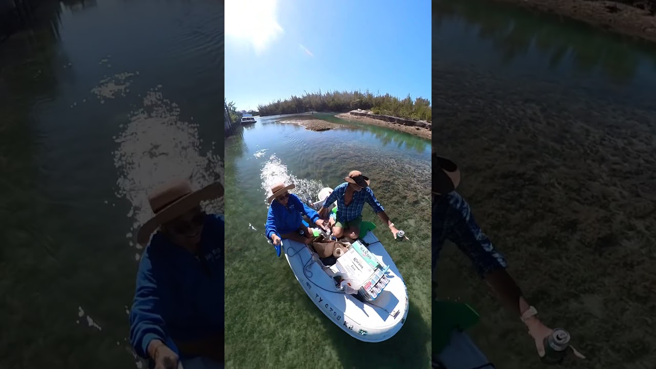 ⁣Low tide explorations, looking for the Tortuga🐢  Did you see it? #bahamas