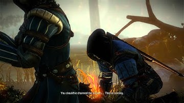 The Witcher 2 Assassins of Kings-Chapter 1-A Rough Landing