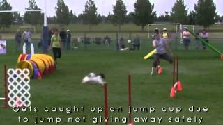 Quasi(modo) - dangers of solid,  one piece jumps