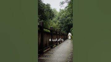 تلاوة رائعة للشيخ محمد صديق المنشاوي #المنشاوي  #قران_كريم #القران_الكريم #quran #لايك #اكسبلور