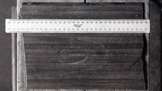 Cold Case Detective Reveals New Footprint Clue In Bid To Solve 1982 Murder Swns