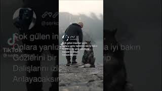 Insan Gülüyo Diye Onu Mutlu Sanmayın