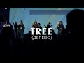 Tree / Дерево