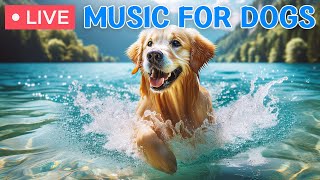 🔴 Dog Music🎵Dog TV & Best Fun Entertainment for Bored Dogs - Anti-Anxiety Music for Dogs, Calm Dog