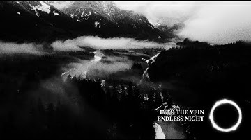 Into The Vein - Endless Night [Official Music Video]