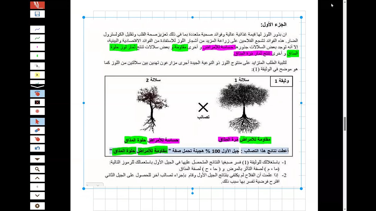 تمرين رائع في التهجين مقترح للفصل الثاني الأولى ثانوي
