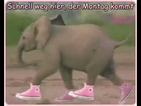 Ja Ganz Schnell Weg Youtube