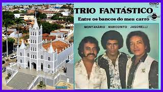 Trio Fantástico | Regresso Ao Mato Grosso