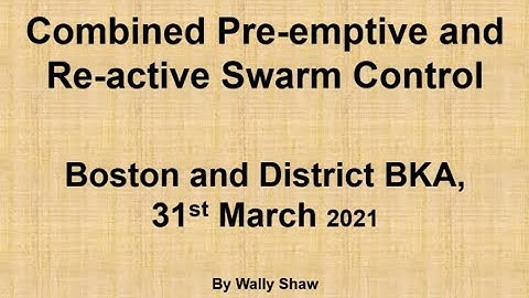 Zoom chat with Wally Shaw