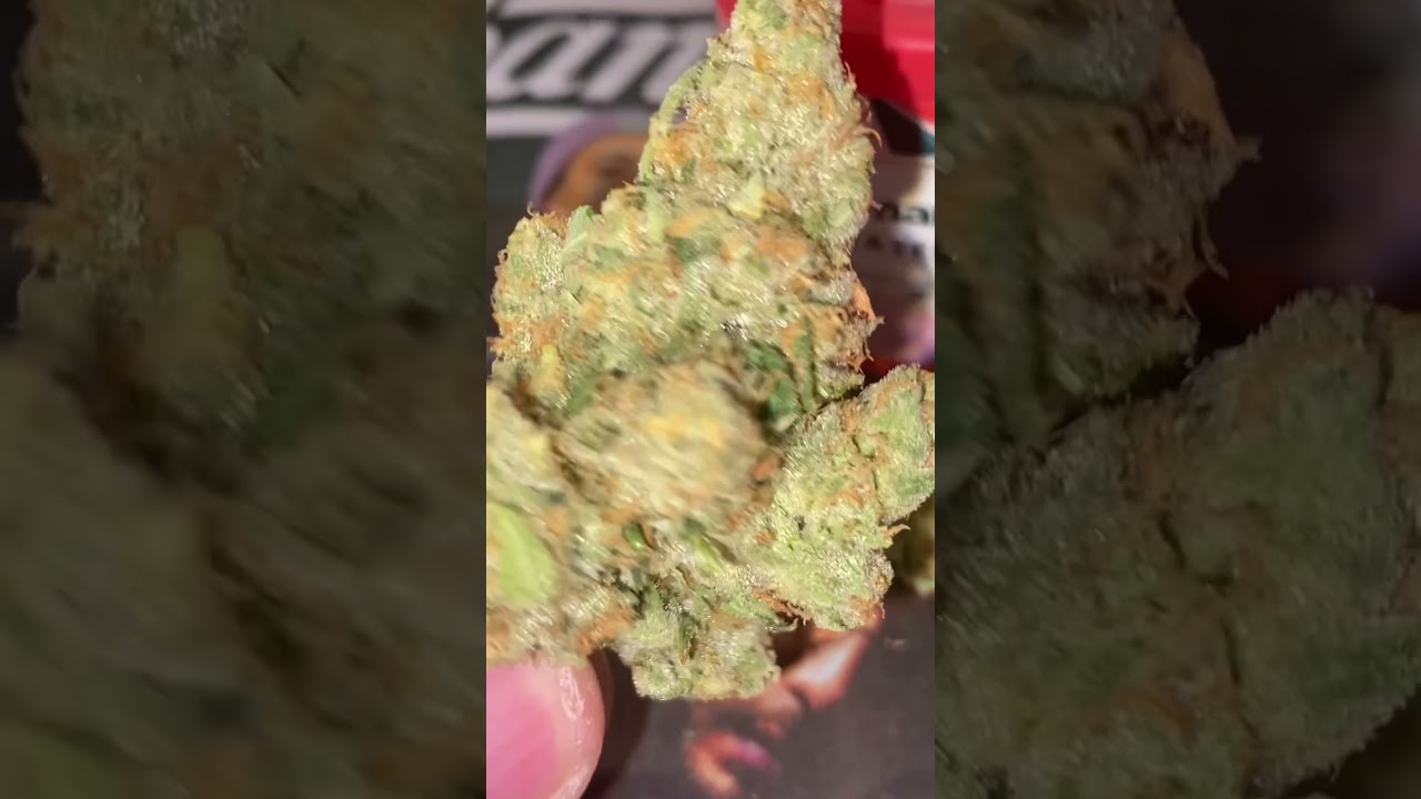 This Blueberry 🫐 Scone is hella nice🔥🔥 from Bud & Mary