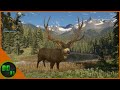 This is What It Takes To Get A Monster Diamond Mule Deer! Call Of The Wild