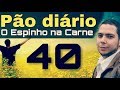 Pão diário 40 - Espinho na carne