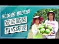 草地狀元-安全酪梨育成專家(20180903播出)careermaster