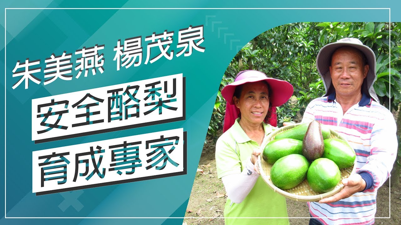 草地狀元-安全酪梨育成專家(20180903播出)careermaster