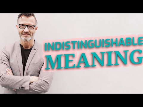 Indistinguishable | Definition of indistinguishable