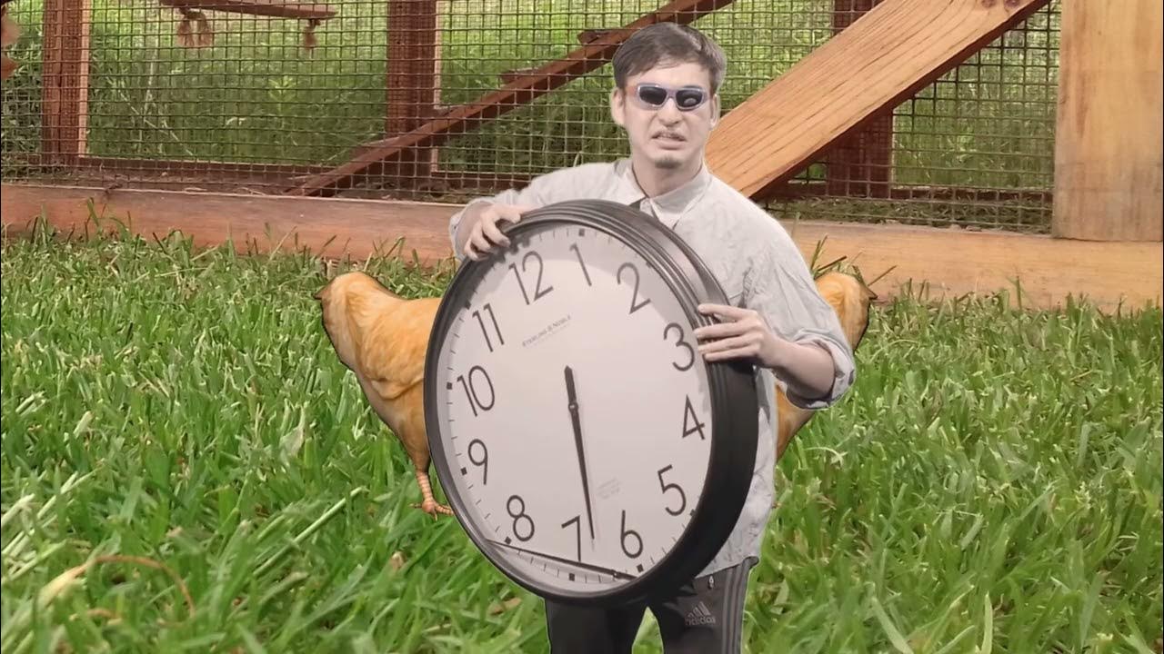 Where does my feather pillow come from? Skąd wzięła się moja pierzowa