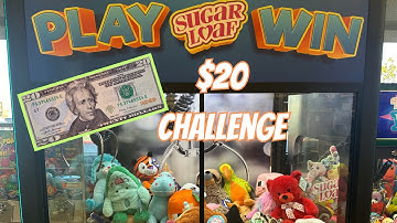 $20 Claw Machine Challenge