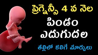 ప్రెగ్నన్సీ 4వ నెల లక్షణాలు, శిశువు ఎదుగుదల | Pregnancy 4th month symptoms in telugu | baby growth Resimi