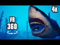 360° VR Deep Dive 4K | The Megalodon Shark