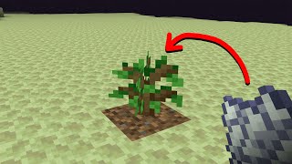 what if i grow tree in ender world?