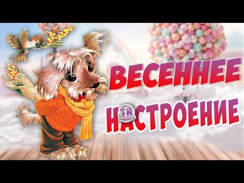 Прикольное видео поздравление с 8 Марта. Поздравление мультфильм для девочек с днем 8 марта