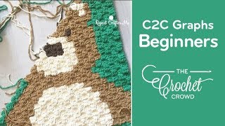 Crochet Corner to Corner (C2C) Graphghans for Beginners | The Crochet Crowd