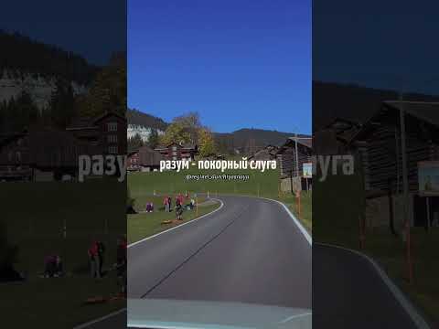 Интуиция - священный дар!