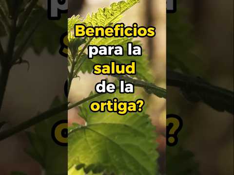 3 Beneficios de