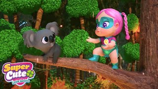 Vamos A Ayudar Al Koala Supercute Little Babies Caricaturas Para Niños