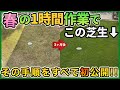 夏、綺麗な芝生にするカンタンな方法