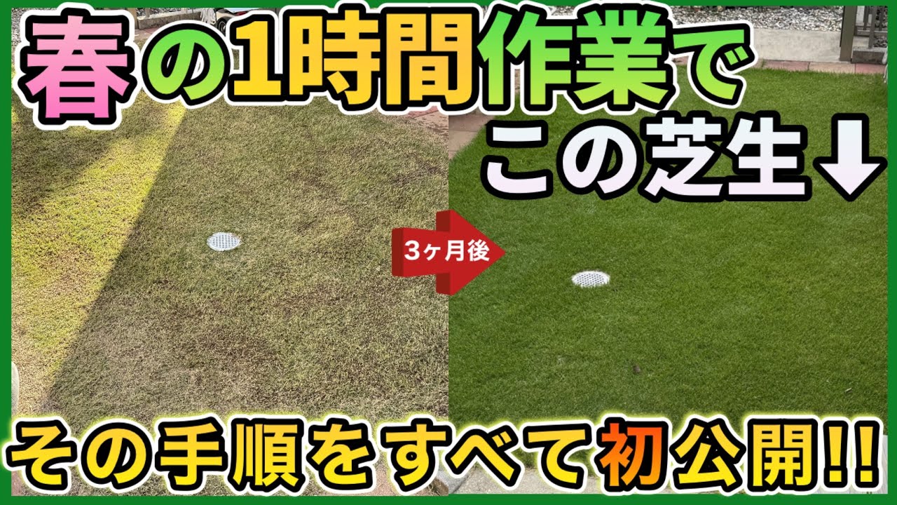 夏、綺麗な芝生にするカンタンな方法