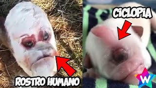 Cuando un HUMANO y un ANIMAL se REPRODUCEN