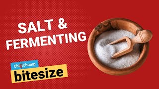 Salt & fermented hot sauce (CCBS Episode 9)