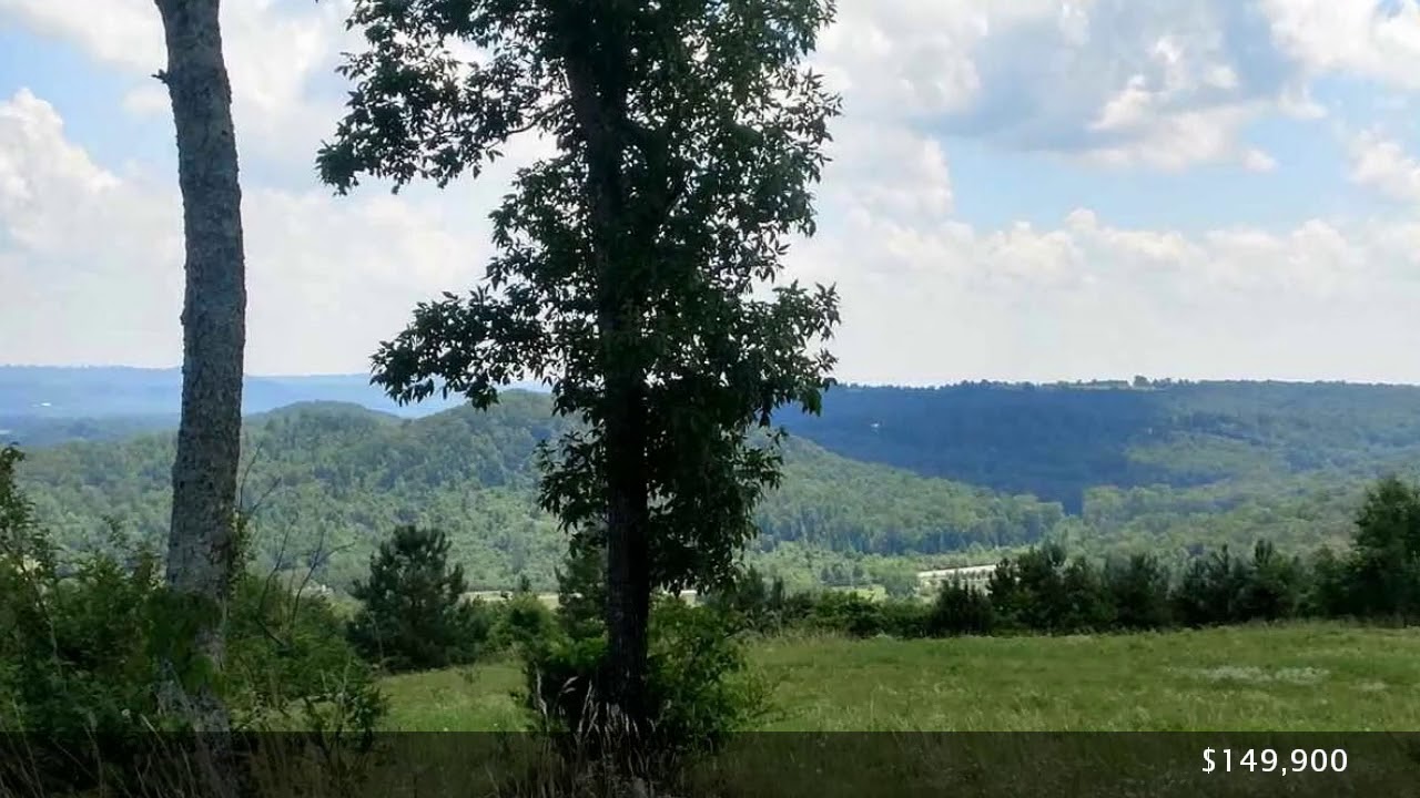 Property For Sale Guntersville Al