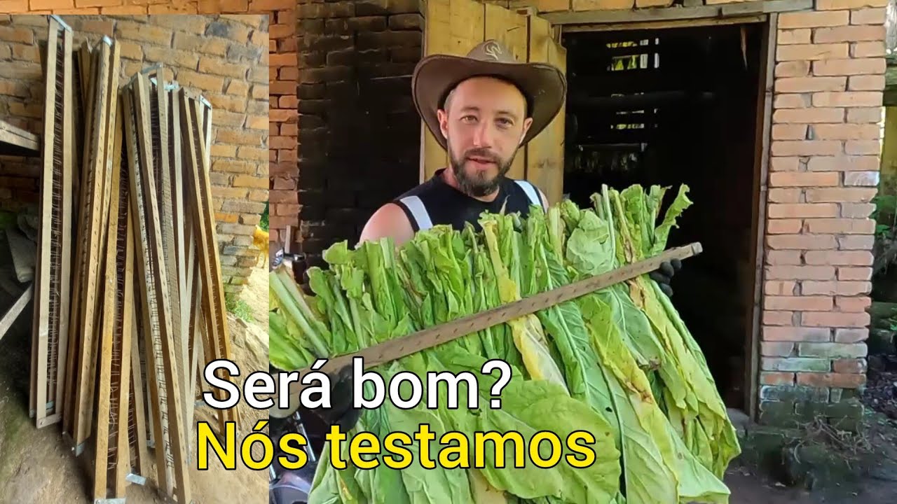 Grampo para fumo,estufa convencional.Nós testamos!