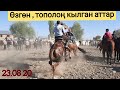 Өзгөн базар 😱 Тополоң кылган ТЕР АТТАР 🐴СООДА ӨТӨ КЫЗЫДЫ 23.08.20