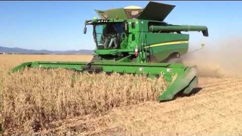 S680 & 1653-A RowCrop Head at Breeza NSW