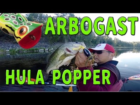 Arbogast Hula Popper video