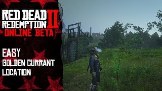 Easy golden currant location | Red Dead Redemption 2 Online Easy golden currant location | Red Dead Redemption 2 Online