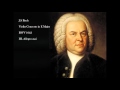 Violin Concerto In E Major BWV 1042 III Allegro Assai J S Bach