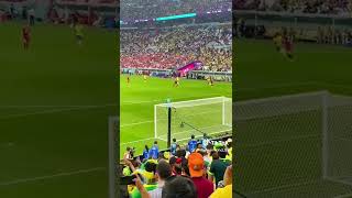 Another angle for that bicycle kick #fifaworldcup2022 Brazil vs Serbia #shorts | Self Record