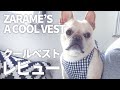 ZARAME'S COOL VEST【フレンチブルドッグのクールベスト】【購入レビュー】