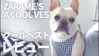 ZARAME'S COOL VEST【フレンチブルドッグのクールベスト】【購入レビュー】