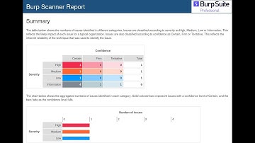 Using   Burp Suite pro generating a report